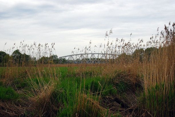 Shrap-Drakers.pl | Shrap Drakers Fishing | Wędkarstwo 