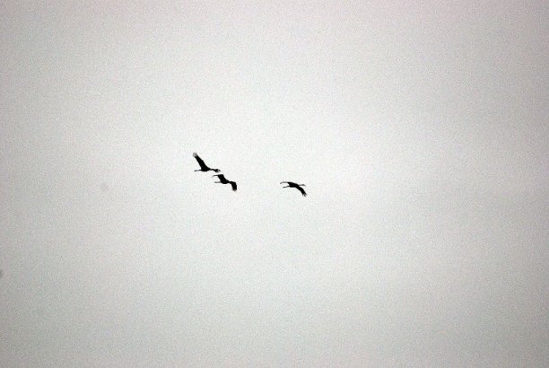 Shrap-Drakers.pl | Shrap Drakers Fishing | Wędkarstwo 