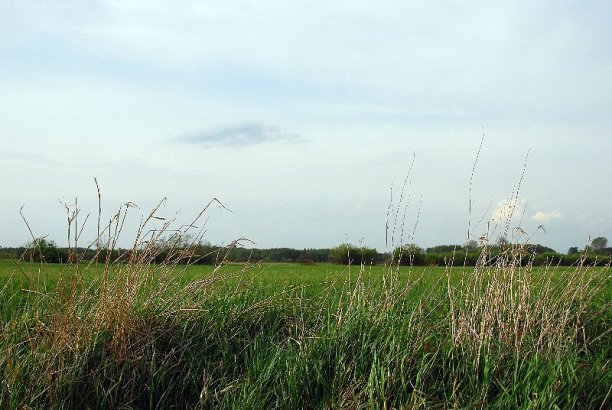 Shrap-Drakers.pl | Shrap Drakers Fishing | Wędkarstwo 