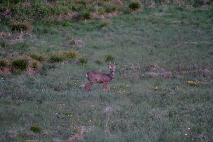 Shrap-Drakers.pl | Shrap Drakers Fishing | Wędkarstwo 