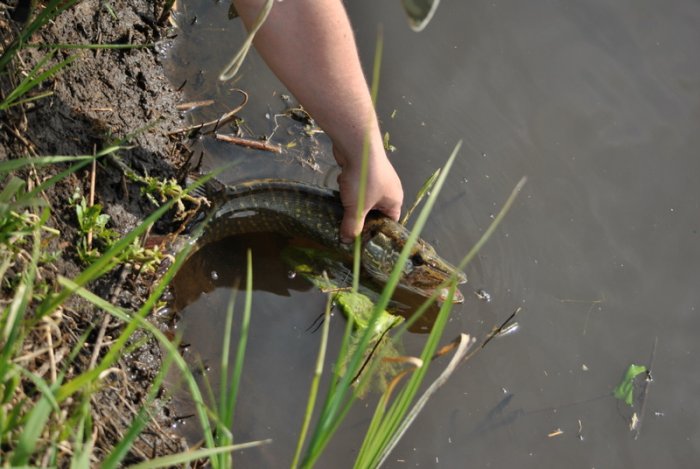 Shrap-Drakers.pl | Shrap Drakers Fishing | Wędkarstwo 