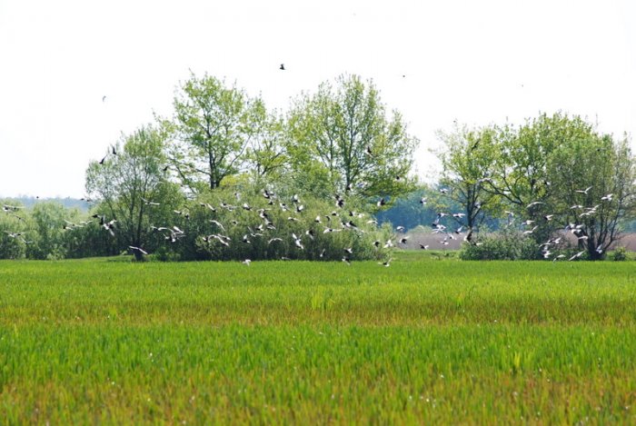 Shrap-Drakers.pl | Shrap Drakers Fishing | Wędkarstwo 