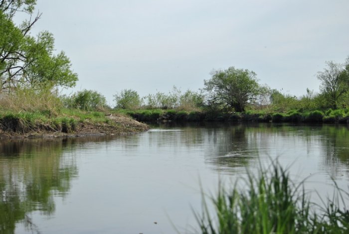 Shrap-Drakers.pl | Shrap Drakers Fishing | Wędkarstwo 