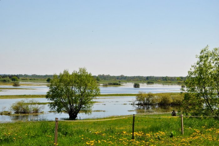 Shrap-Drakers.pl | Shrap Drakers Fishing | Wędkarstwo 