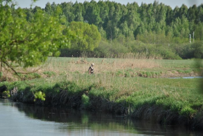Shrap-Drakers.pl | Shrap Drakers Fishing | Wędkarstwo 