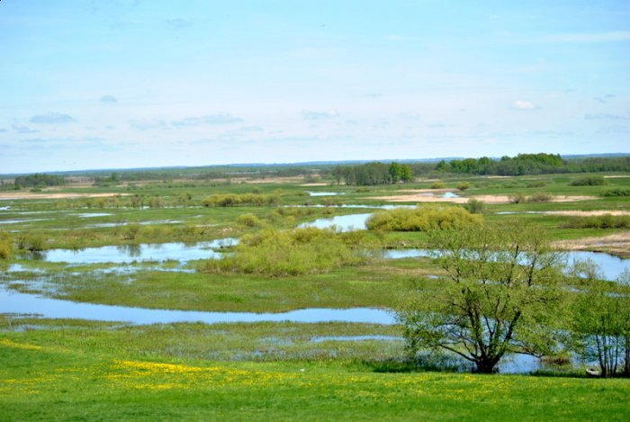 Shrap-Drakers.pl | Shrap Drakers Fishing | Wędkarstwo 