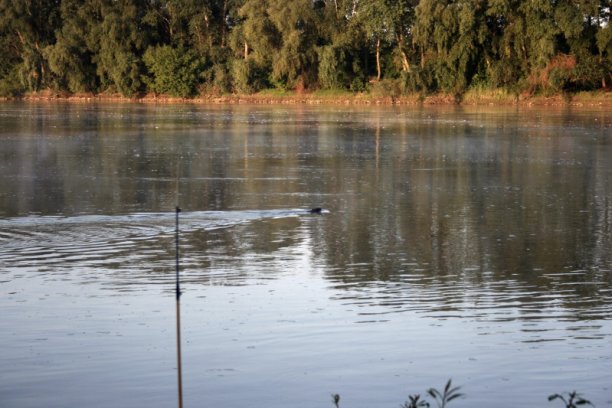 Shrap-Drakers.pl | Shrap Drakers Fishing | Wędkarstwo 