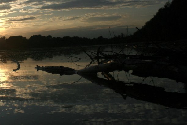 Shrap-Drakers.pl | Shrap Drakers Fishing | Wędkarstwo 