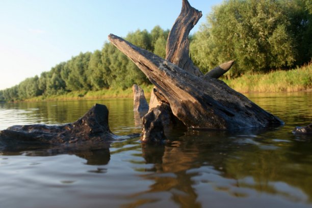 Shrap-Drakers.pl | Shrap Drakers Fishing | Wędkarstwo 