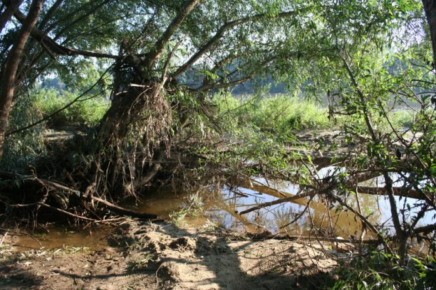 Shrap-Drakers.pl | Shrap Drakers Fishing | Wędkarstwo 