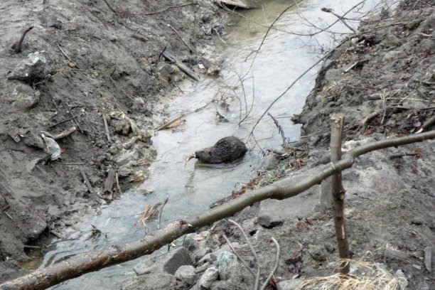 Shrap-Drakers.pl | Shrap Drakers Fishing | Wędkarstwo 