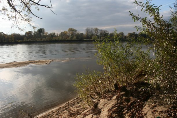 Shrap-Drakers.pl | Shrap Drakers Fishing | Wędkarstwo 