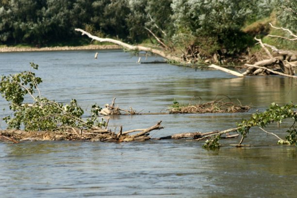 Shrap-Drakers.pl | Shrap Drakers Fishing | Wędkarstwo 