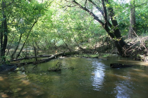 Shrap-Drakers.pl | Shrap Drakers Fishing | Wędkarstwo 