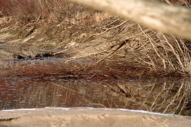 Shrap-Drakers.pl | Shrap Drakers Fishing | Wędkarstwo 