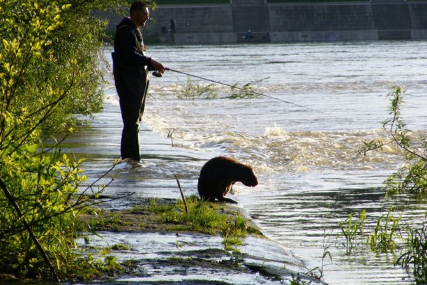 Shrap-Drakers.pl | Shrap Drakers Fishing | Wędkarstwo 