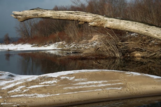 Shrap-Drakers.pl | Shrap Drakers Fishing | Wędkarstwo 