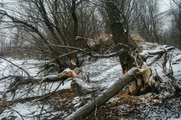 Shrap-Drakers.pl | Shrap Drakers Fishing | Wędkarstwo 