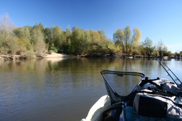 Shrap-Drakers.pl | Shrap Drakers Fishing | Wędkarstwo 