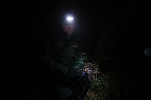 Shrap-Drakers.pl | Shrap Drakers Fishing | Wędkarstwo 