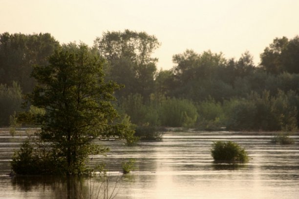 Shrap-Drakers.pl | Shrap Drakers Fishing | Wędkarstwo 