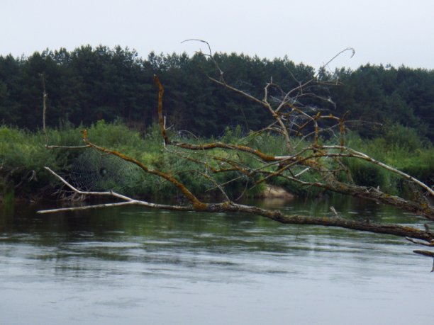 Shrap-Drakers.pl | Shrap Drakers Fishing | Wędkarstwo 