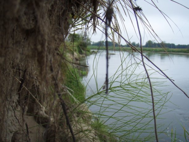 Shrap-Drakers.pl | Shrap Drakers Fishing | Wędkarstwo 