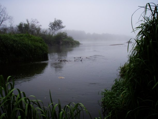 Shrap-Drakers.pl | Shrap Drakers Fishing | Wędkarstwo 