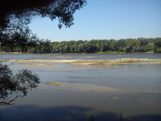 Shrap-Drakers.pl | Shrap Drakers Fishing | Wędkarstwo 