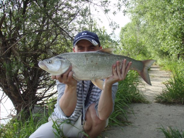 Shrap-Drakers.pl | Shrap Drakers Fishing | Wędkarstwo 