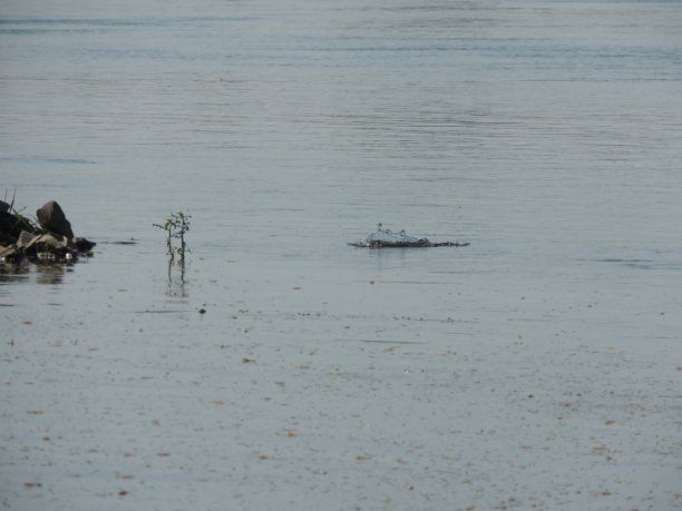 Shrap-Drakers.pl | Shrap Drakers Fishing | Wędkarstwo 