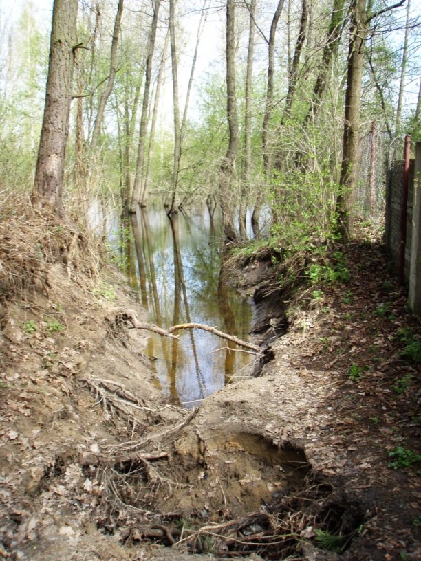 Shrap-Drakers.pl | Shrap Drakers Fishing | Wędkarstwo 