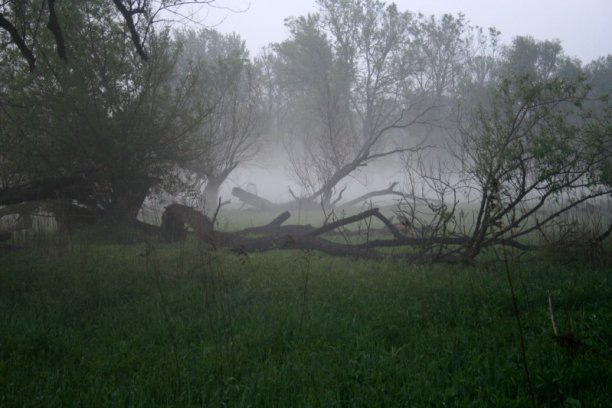 Shrap-Drakers.pl | Shrap Drakers Fishing | Wędkarstwo 