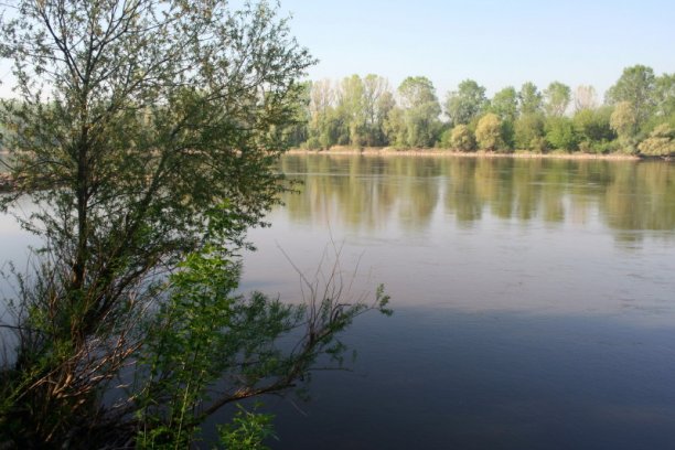 Shrap-Drakers.pl | Shrap Drakers Fishing | Wędkarstwo 