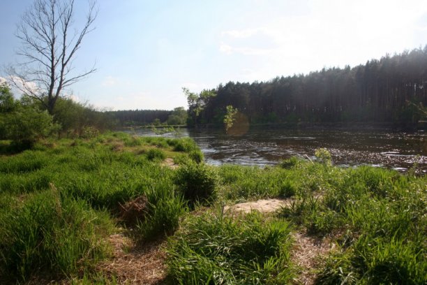 Shrap-Drakers.pl | Shrap Drakers Fishing | Wędkarstwo 