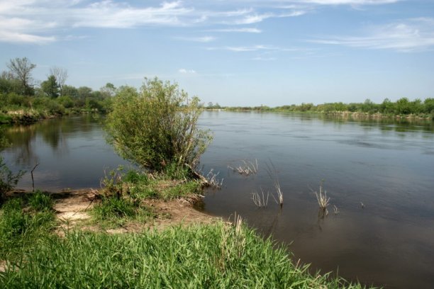 Shrap-Drakers.pl | Shrap Drakers Fishing | Wędkarstwo 