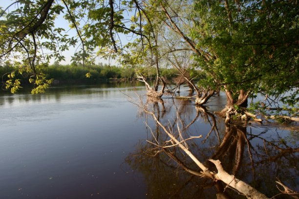 Shrap-Drakers.pl | Shrap Drakers Fishing | Wędkarstwo 