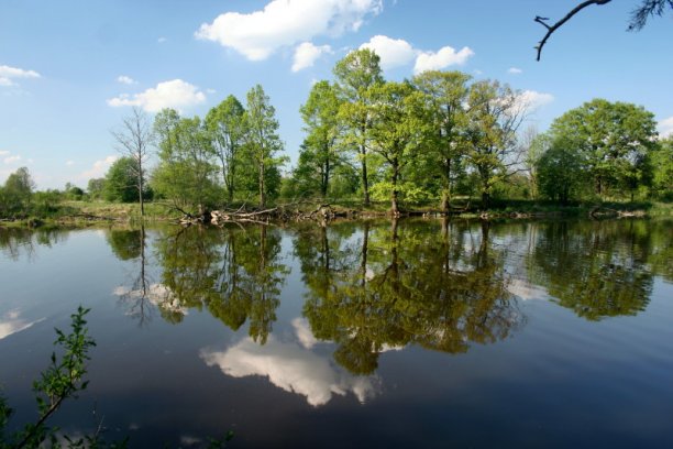 Shrap-Drakers.pl | Shrap Drakers Fishing | Wędkarstwo 