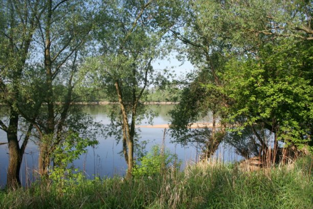 Shrap-Drakers.pl | Shrap Drakers Fishing | Wędkarstwo 