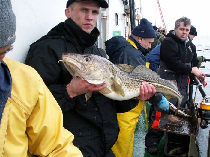 Shrap-Drakers.pl | Shrap Drakers Fishing | Wędkarstwo 