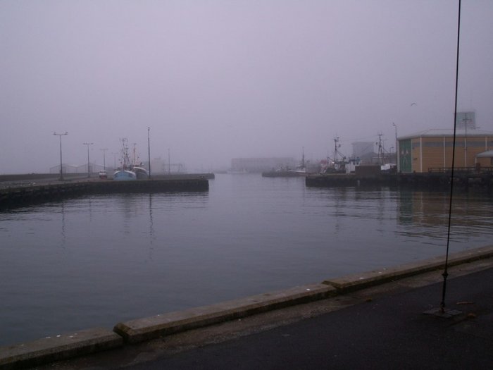 Shrap-Drakers.pl | Shrap Drakers Fishing | Wędkarstwo 