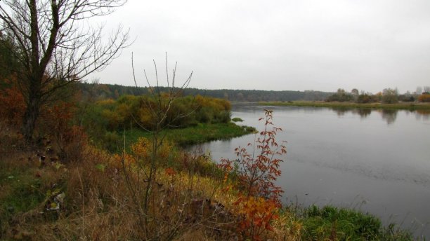 Shrap-Drakers.pl | Shrap Drakers Fishing | Wędkarstwo 