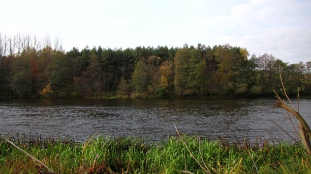 Shrap-Drakers.pl | Shrap Drakers Fishing | Wędkarstwo 