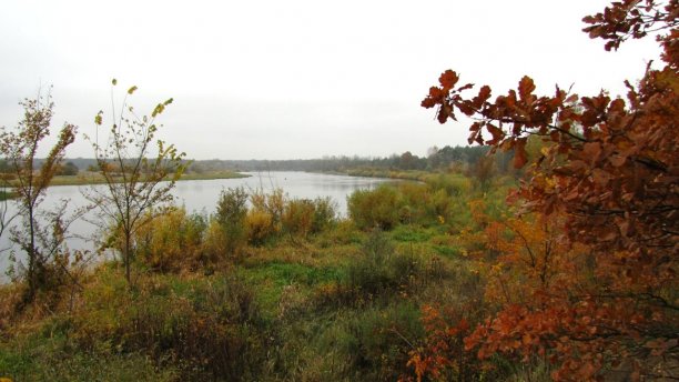 Shrap-Drakers.pl | Shrap Drakers Fishing | Wędkarstwo 