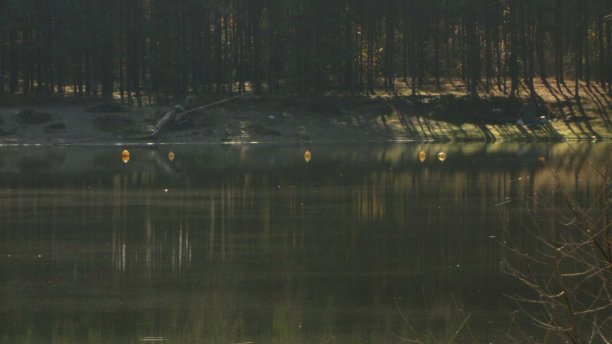 Shrap-Drakers.pl | Shrap Drakers Fishing | Wędkarstwo 