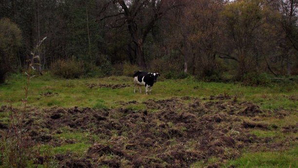 Shrap-Drakers.pl | Shrap Drakers Fishing | Wędkarstwo 