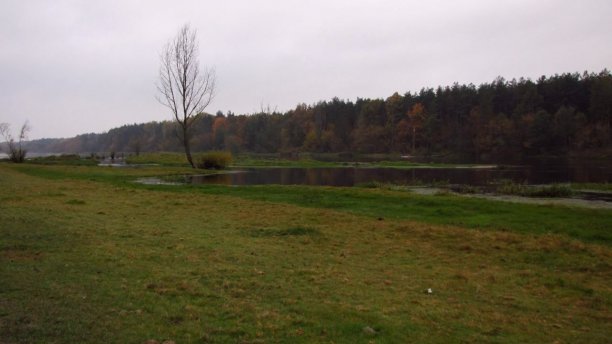 Shrap-Drakers.pl | Shrap Drakers Fishing | Wędkarstwo 