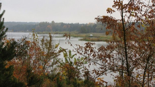 Shrap-Drakers.pl | Shrap Drakers Fishing | Wędkarstwo 