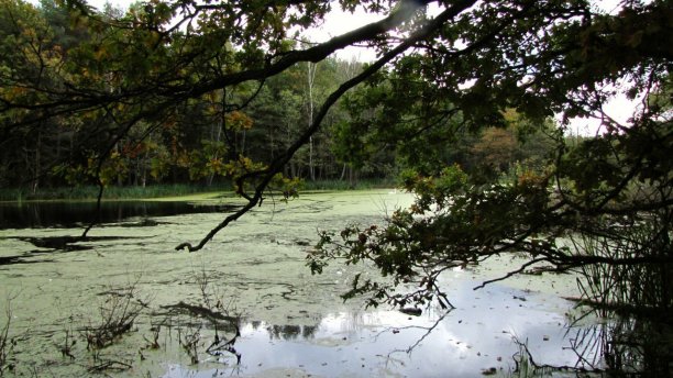 Shrap-Drakers.pl | Shrap Drakers Fishing | Wędkarstwo 