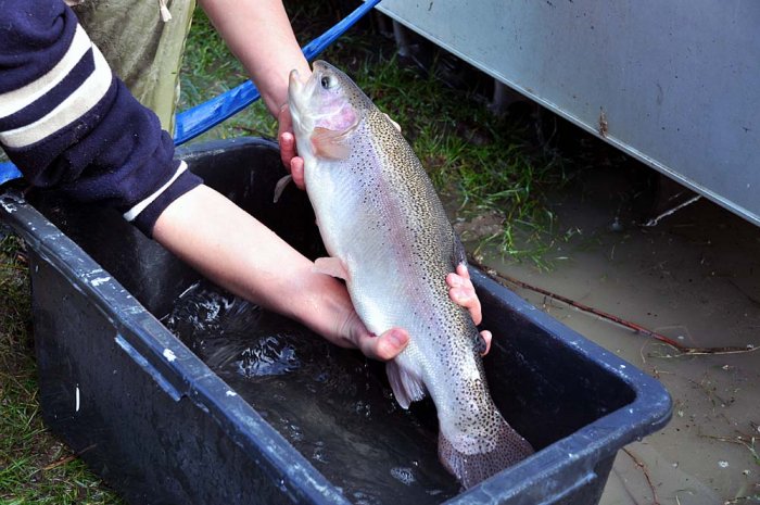 Shrap-Drakers.pl | Shrap Drakers Fishing | Wędkarstwo 